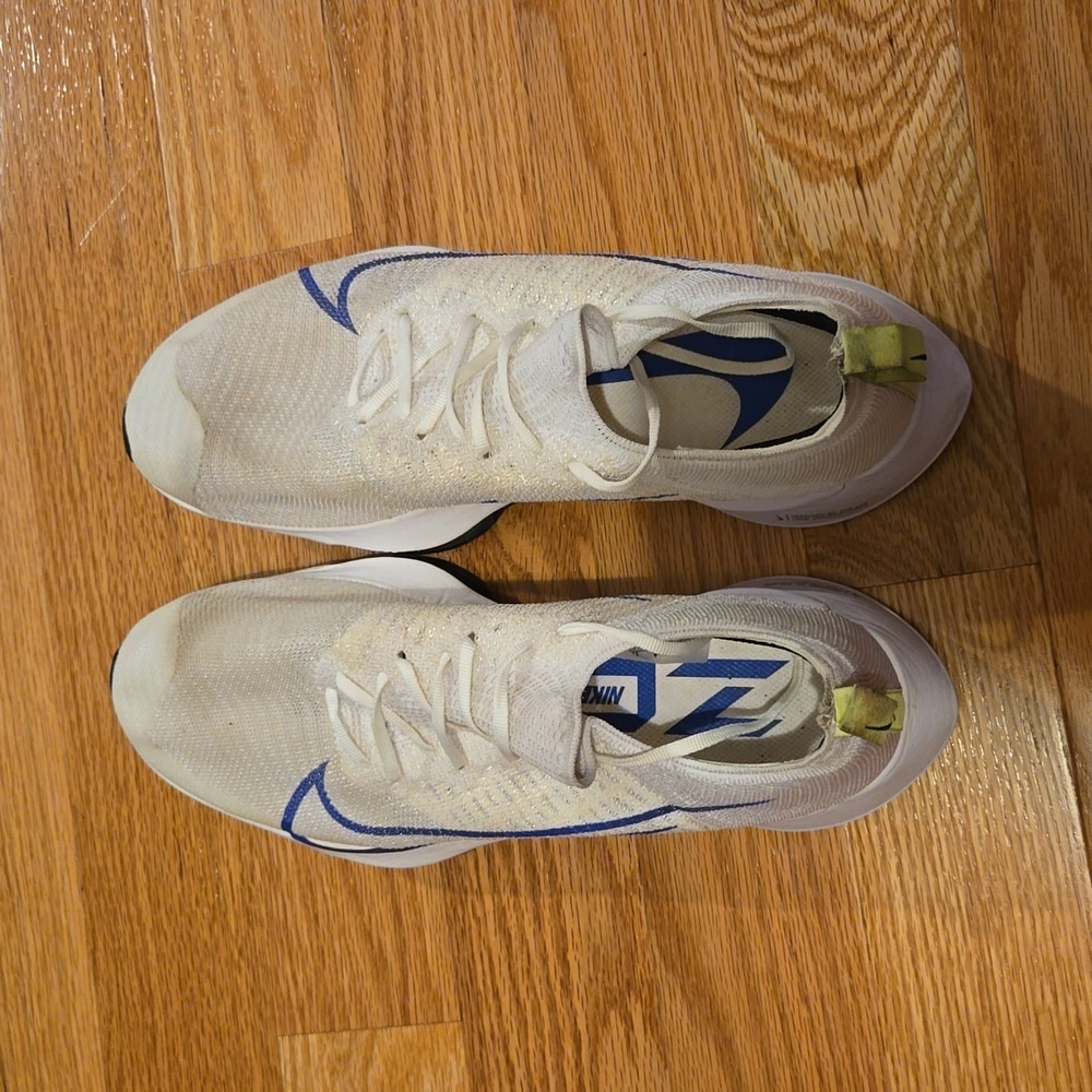 Men's Nike Air Zoom Pegasus
